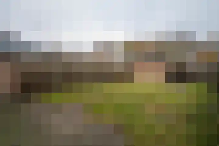 Jan de Withof 9 Helmond thumbnail 36