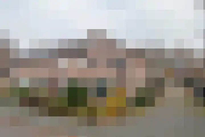 Jan de Withof 9 Helmond thumbnail 37