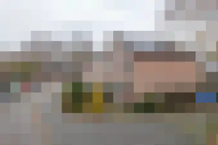 Jan de Withof 9 Helmond thumbnail 39