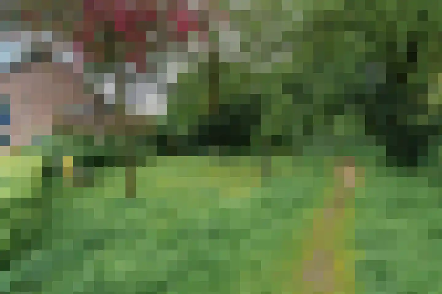 Jan de Withof 90 Helmond thumbnail 37