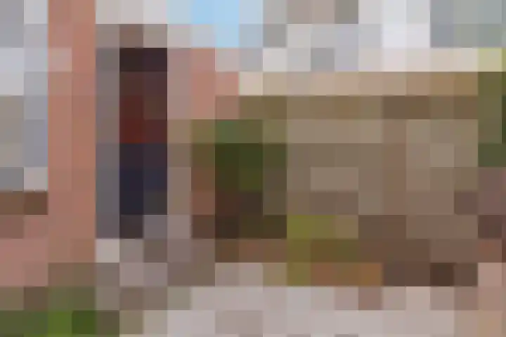 Jan de Wittestraat 36 Koog aan de Zaan thumbnail 18