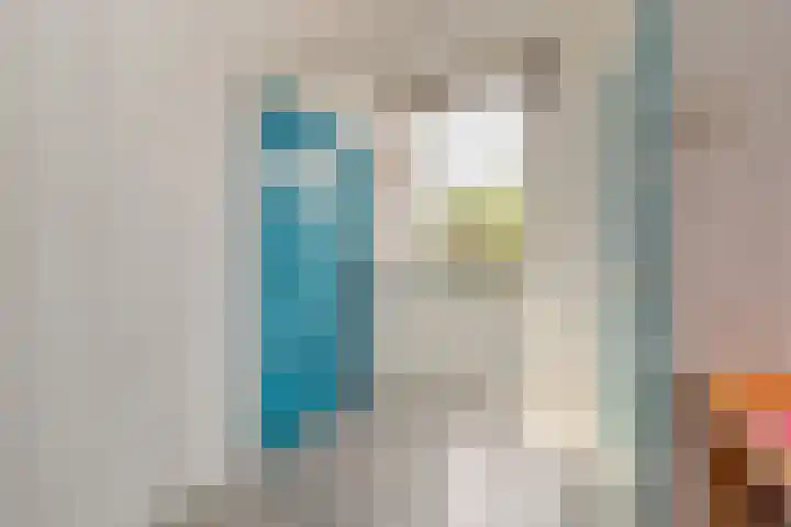 Jan de Wittestraat 36 Koog aan de Zaan thumbnail 19