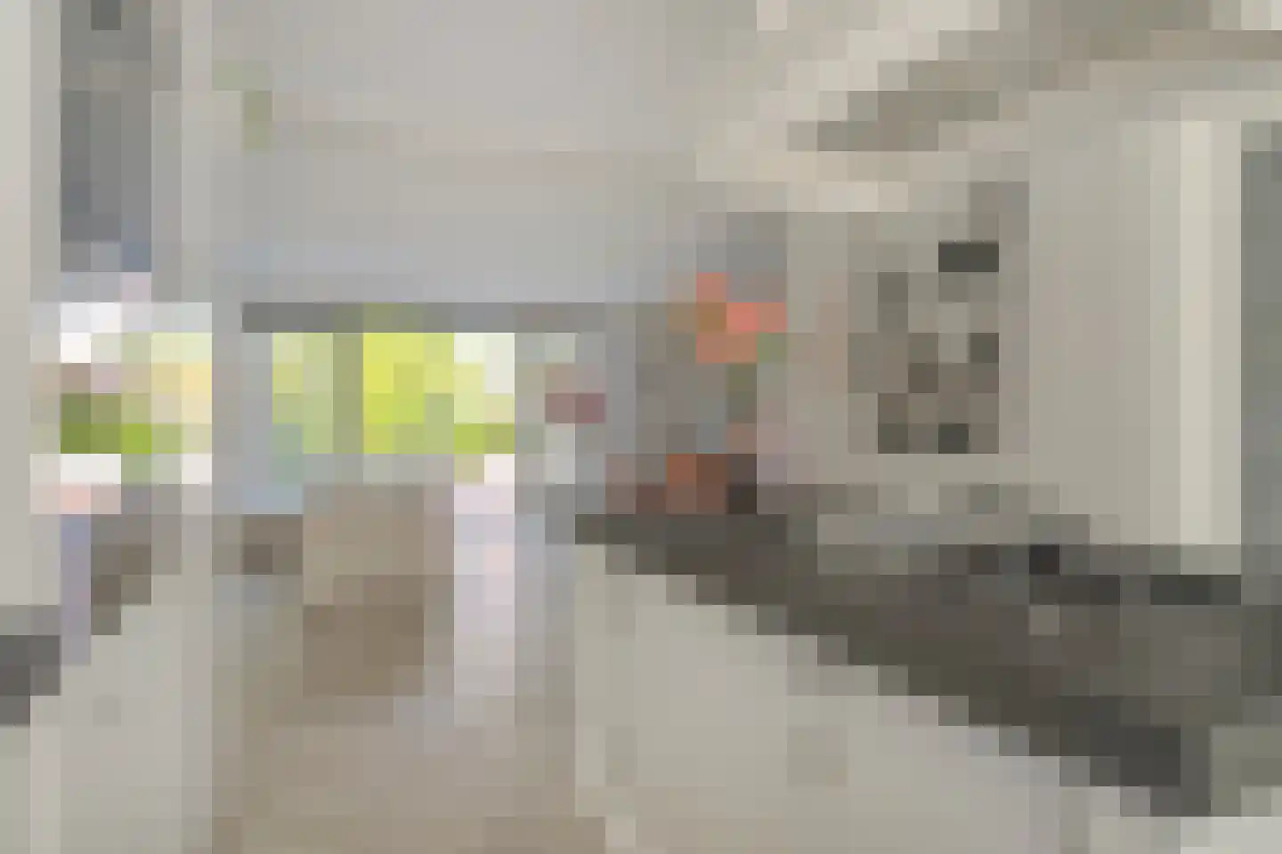 Jan de Wittestraat 89 A Koog aan de Zaan thumbnail 10