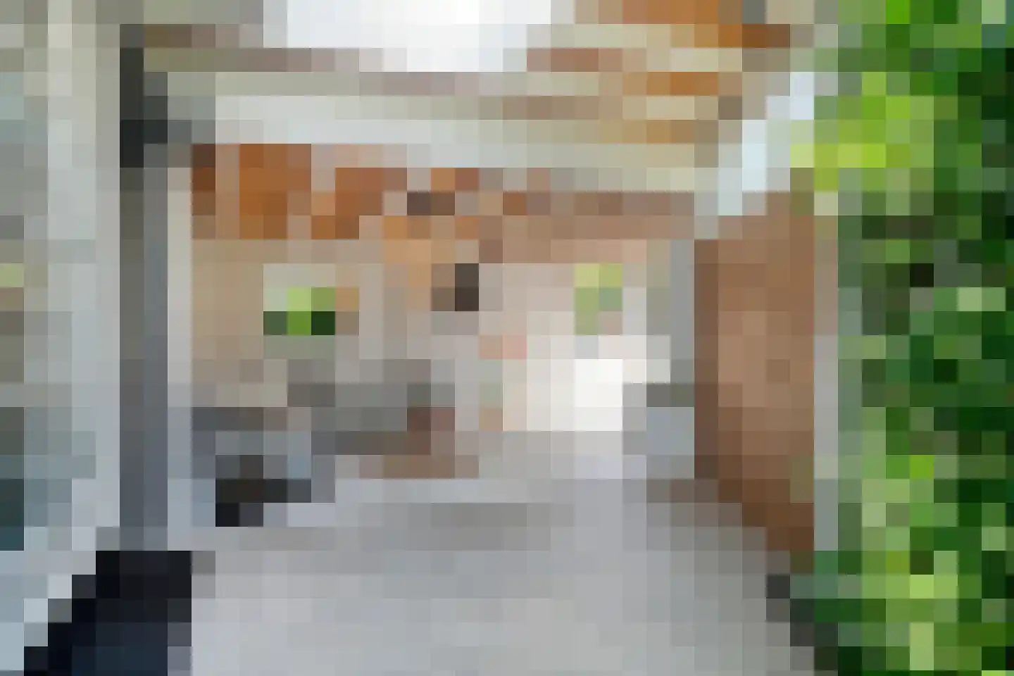 Jan de Wittestraat 89 A Koog aan de Zaan thumbnail 17