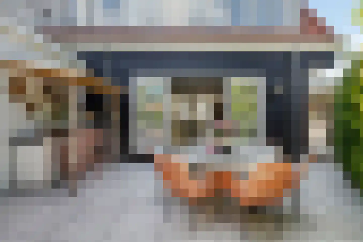 Jan de Wittestraat 89 A Koog aan de Zaan thumbnail 22