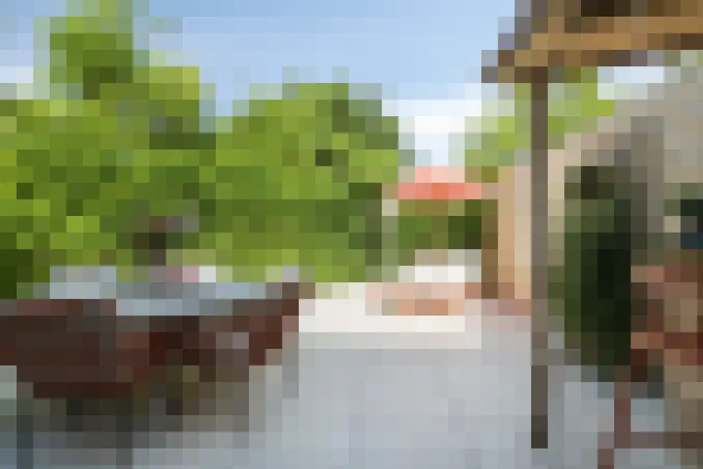 Jan de Wittestraat 89 A Koog aan de Zaan thumbnail 24