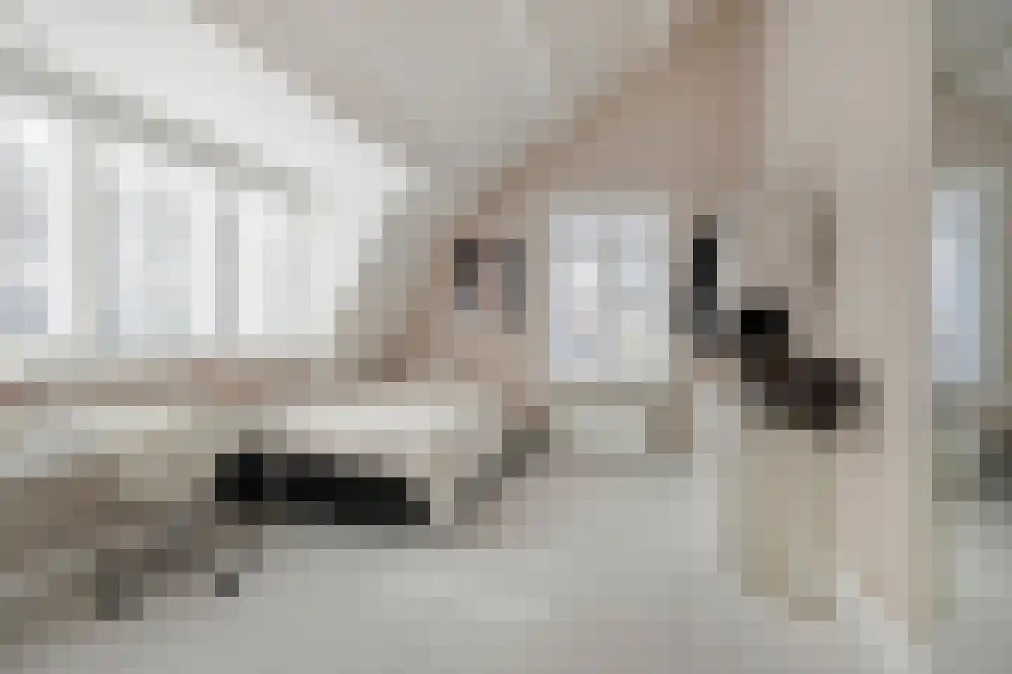 Jan de Wittestraat 89 A Koog aan de Zaan thumbnail 42