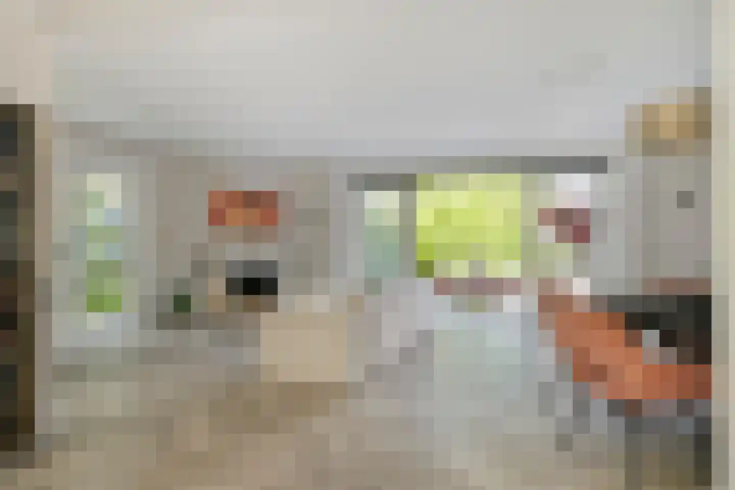 Jan de Wittestraat 89 A Koog aan de Zaan thumbnail 6