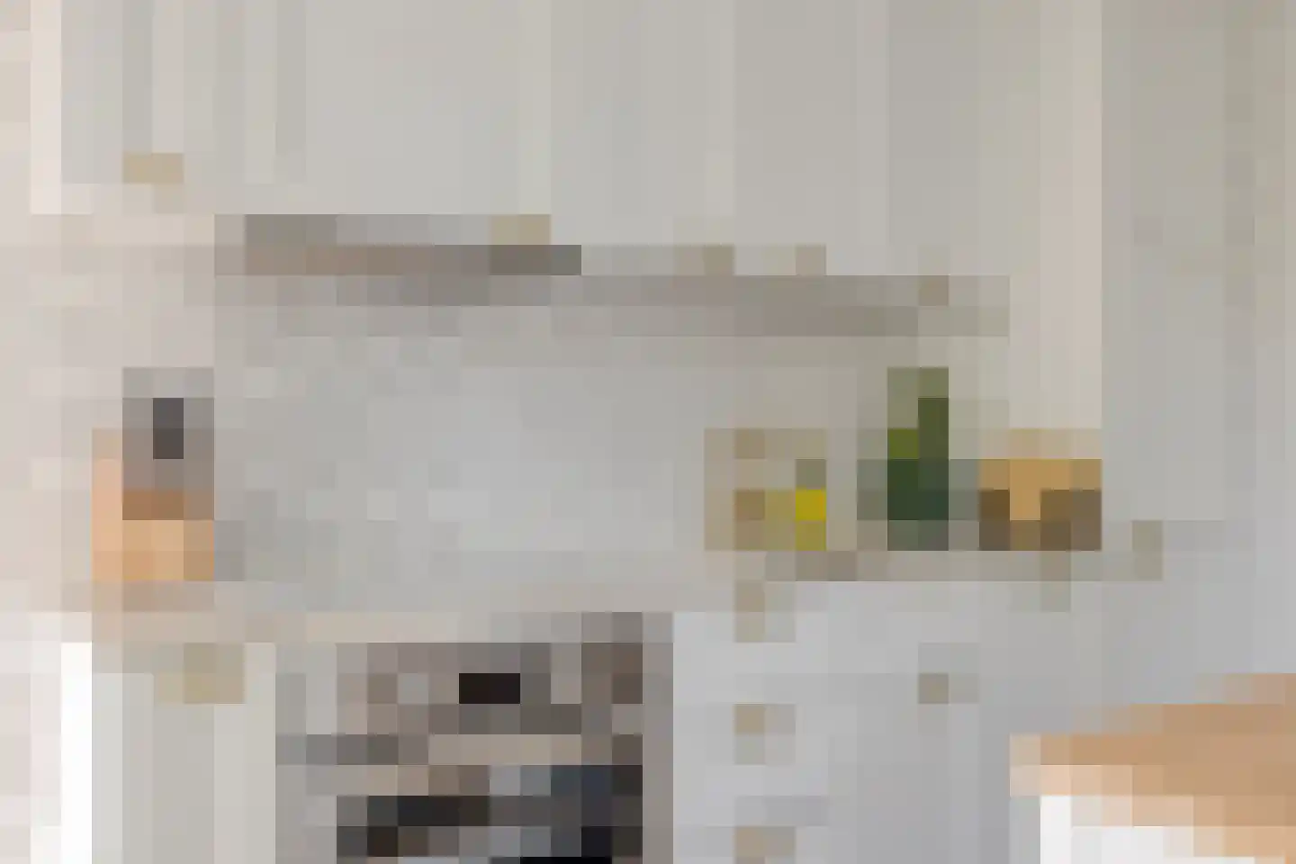 Jan de Wittestraat 89 Koog aan de Zaan thumbnail 11