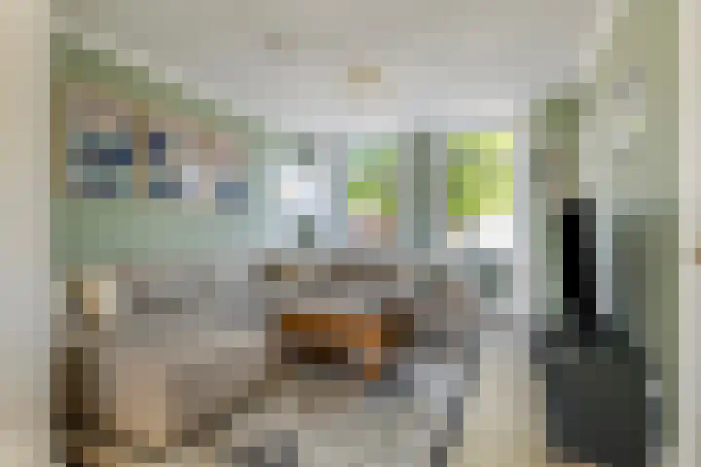 Jan de Wittestraat 89 Koog aan de Zaan thumbnail 6