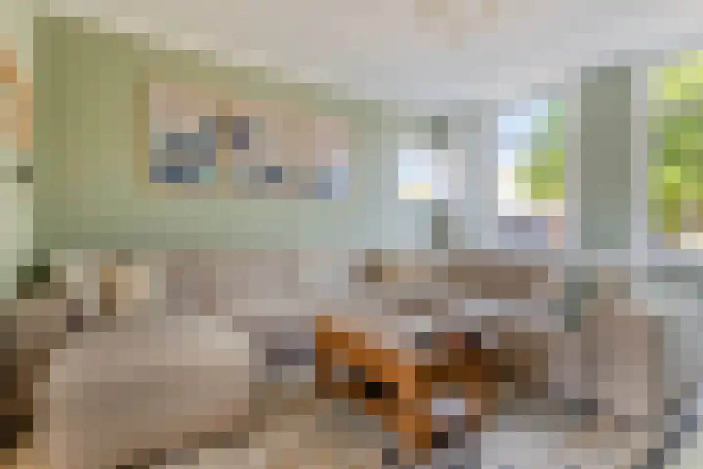 Jan de Wittestraat 89 Koog aan de Zaan thumbnail 7