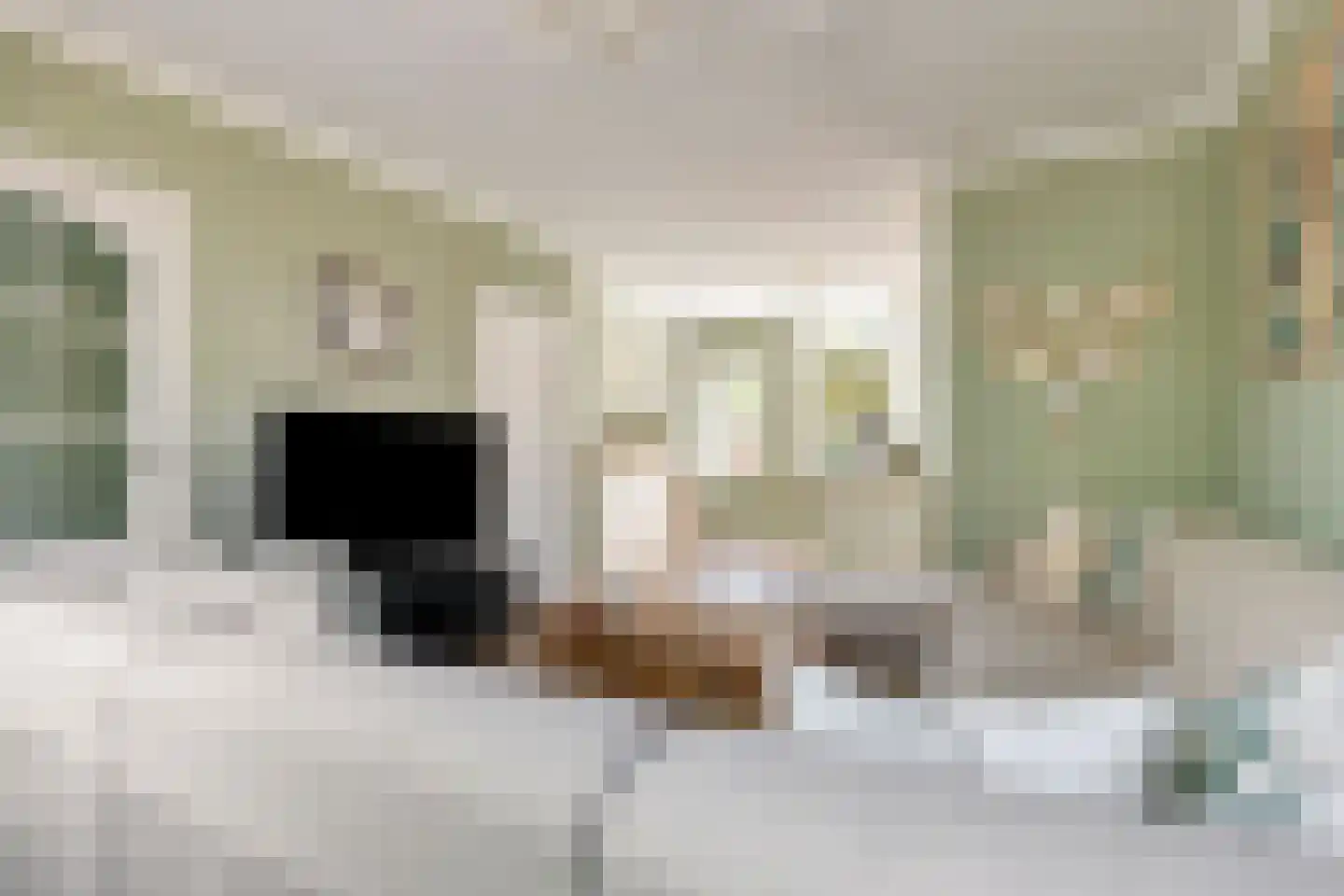 Jan de Wittestraat 89 Koog aan de Zaan thumbnail 8