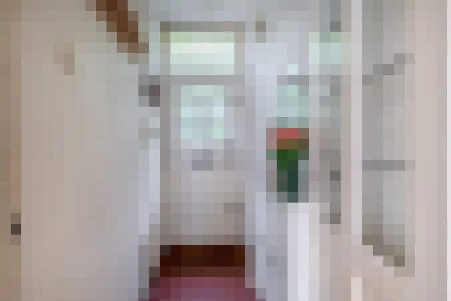 Jan de Wittestraat 93 Koog aan de Zaan thumbnail 12