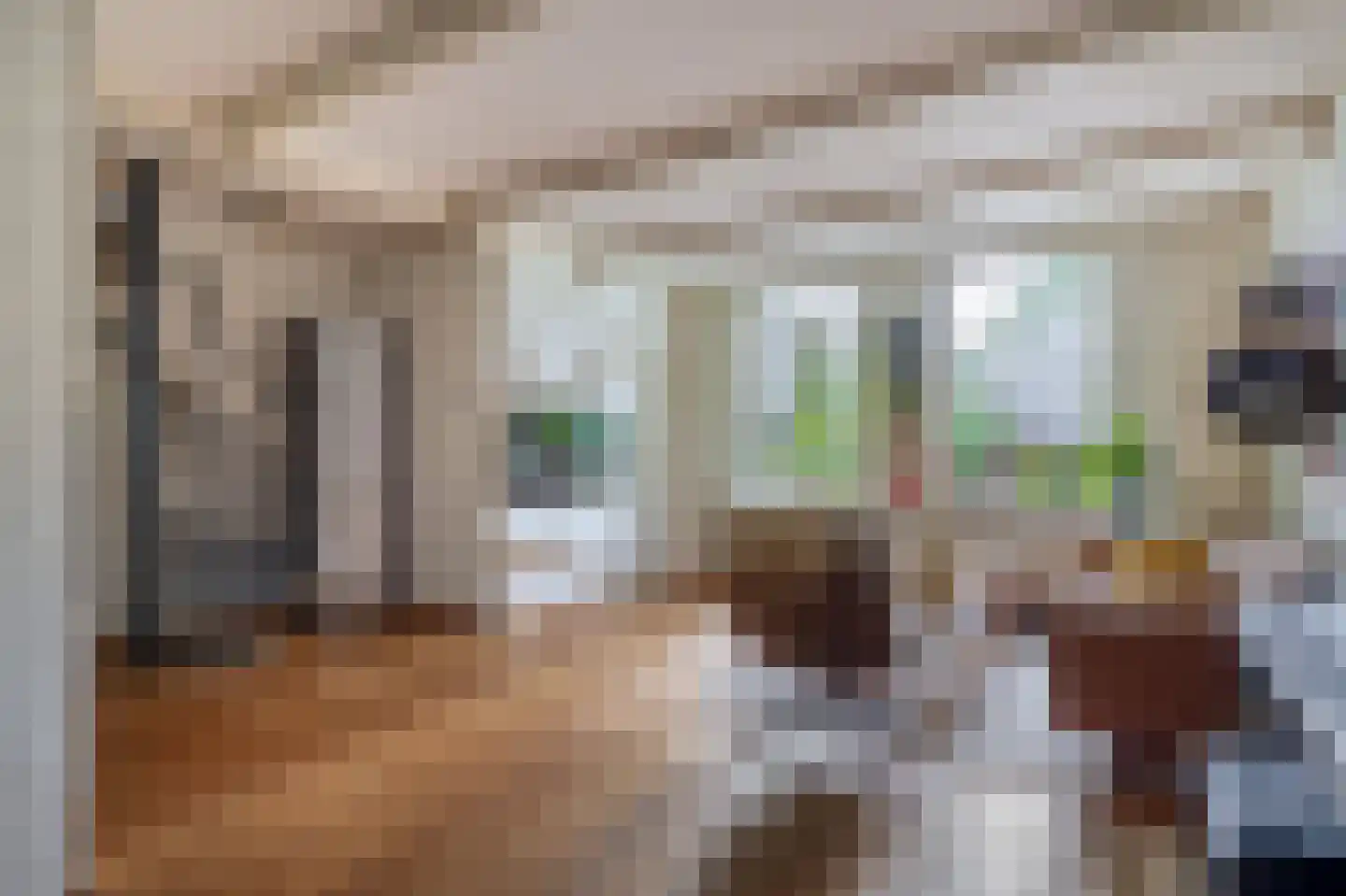 Jan de Wittestraat 93 Koog aan de Zaan thumbnail 15