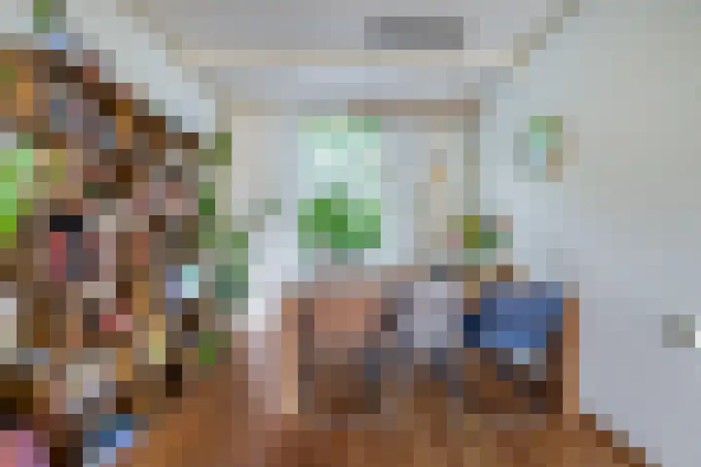 Jan de Wittestraat 93 Koog aan de Zaan thumbnail 18