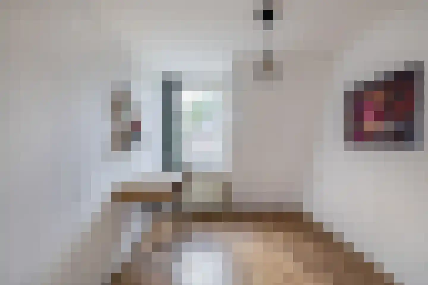 Jan de Wittestraat 93 Koog aan de Zaan thumbnail 27