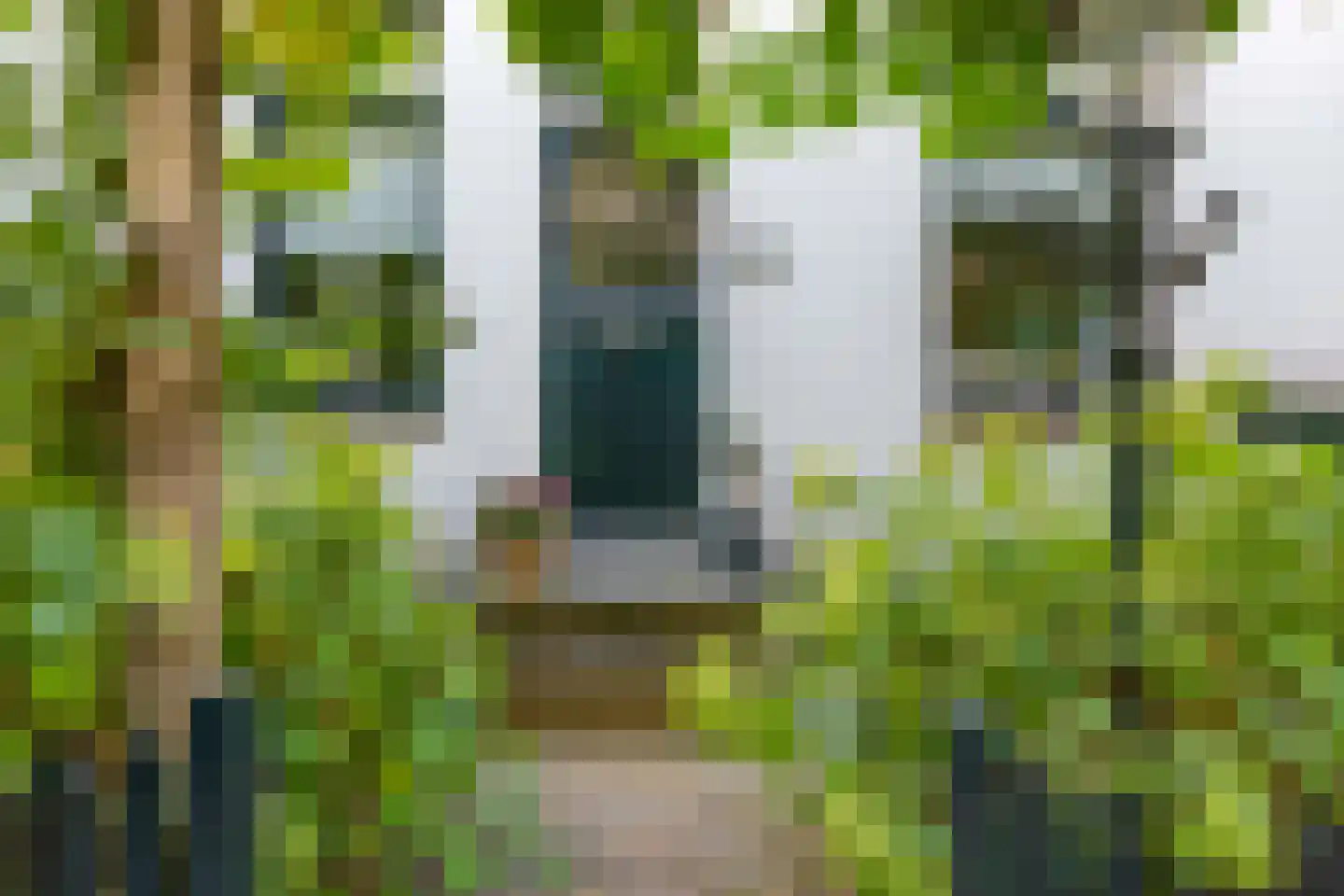 Jan de Wittestraat 95 Koog aan de Zaan thumbnail 13