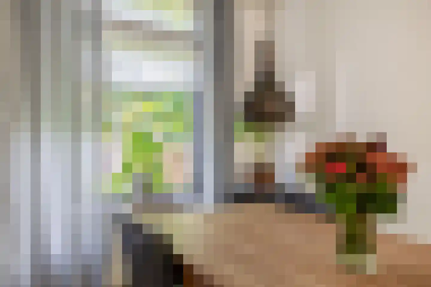 Jan de Wittestraat 95 Koog aan de Zaan thumbnail 22