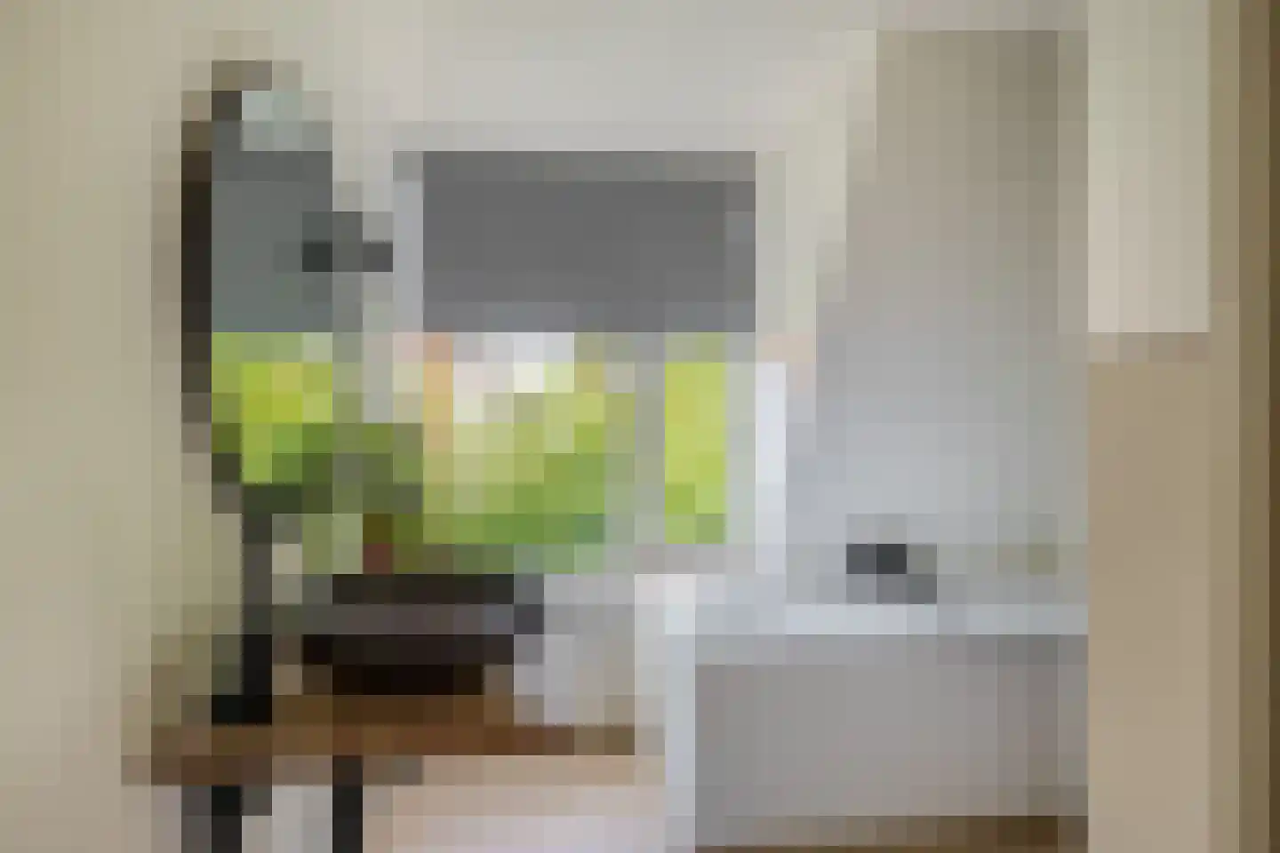 Jan de Wittestraat 95 Koog aan de Zaan thumbnail 40