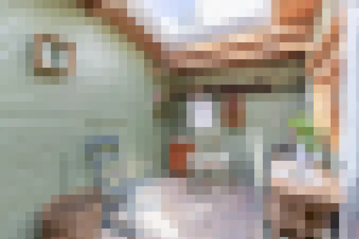 Jan de Wittestraat 95 Koog aan de Zaan thumbnail 52