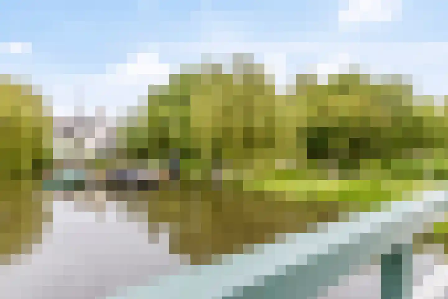 Jan de Wittestraat 95 Koog aan de Zaan thumbnail 60