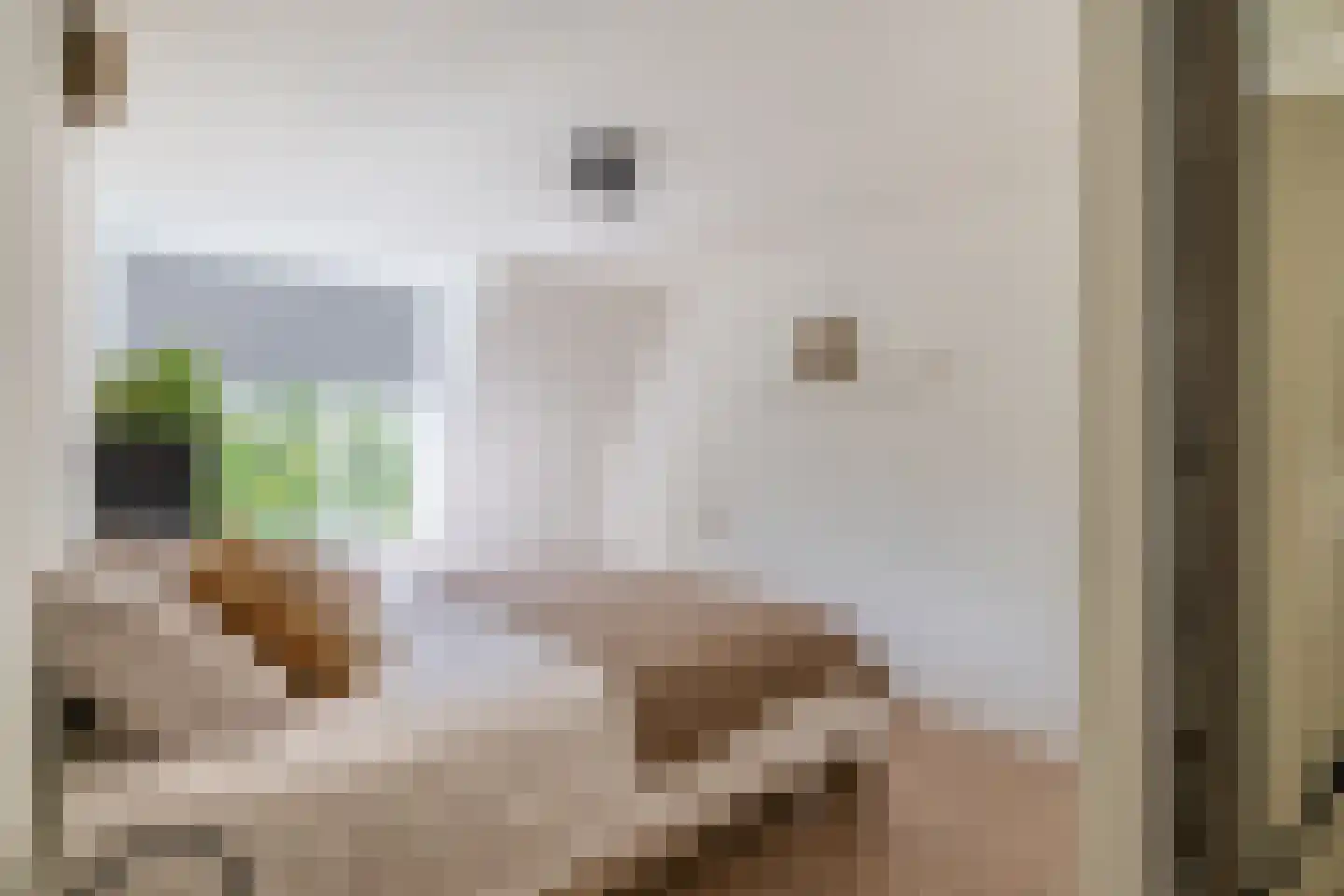 Jan de Wittestraat 95 Koog aan de Zaan thumbnail 7