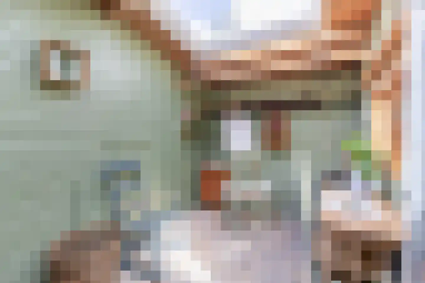 Jan de Wittestraat 95 Koog aan de Zaan thumbnail 8