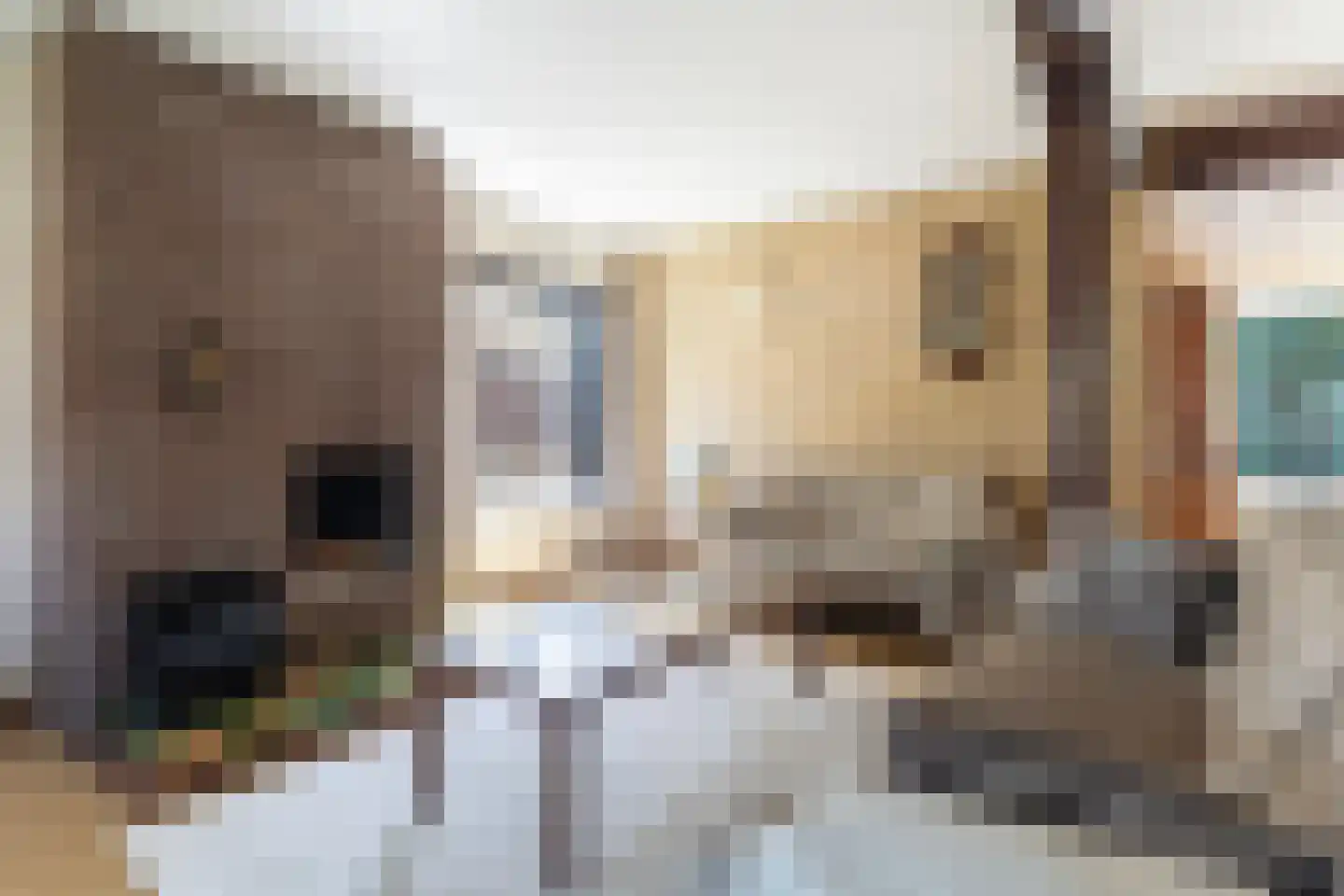 Jan de Wittstraat 14 Oentsjerk thumbnail 13