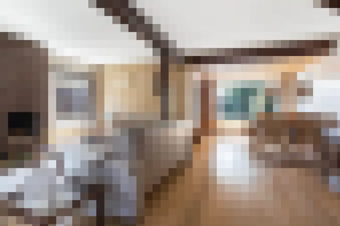 Jan de Wittstraat 14 Oentsjerk thumbnail 15