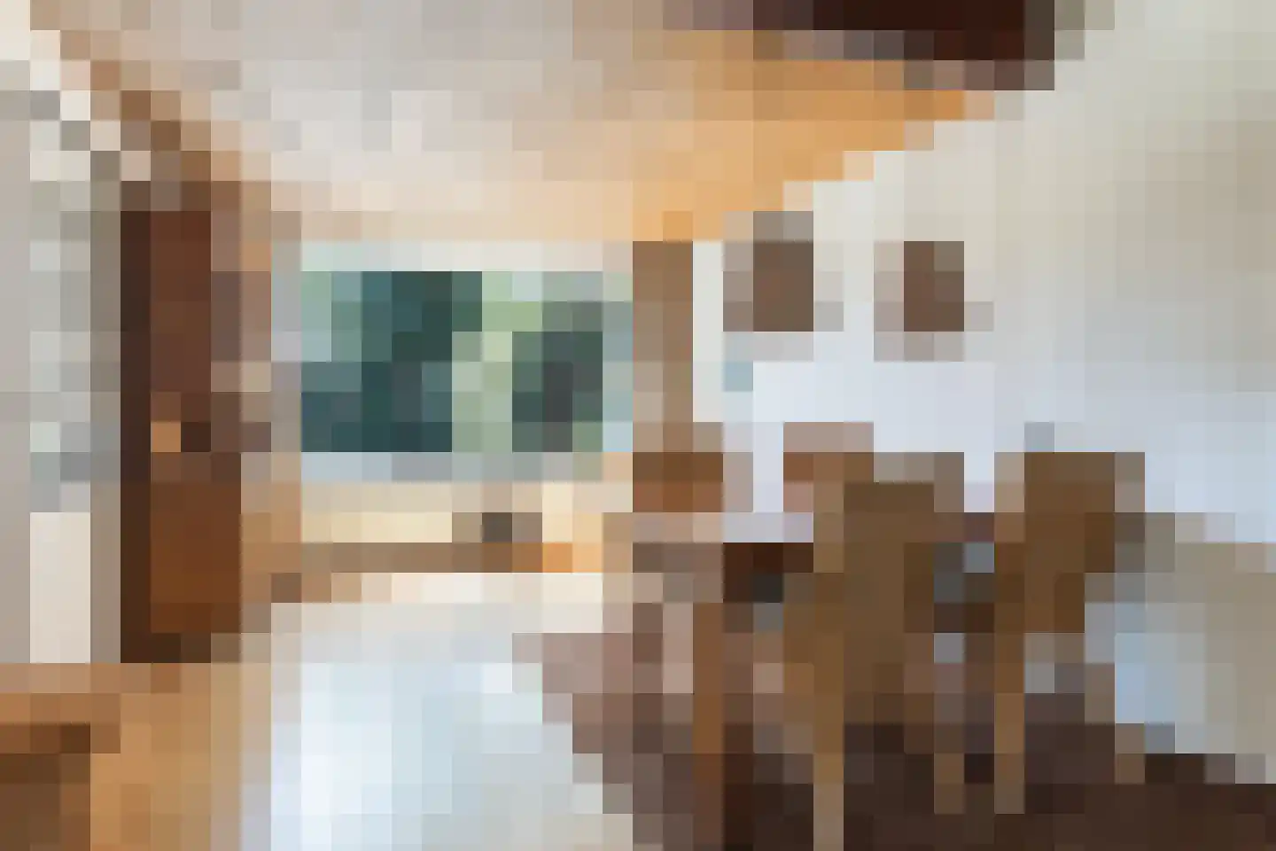 Jan de Wittstraat 14 Oentsjerk thumbnail 17