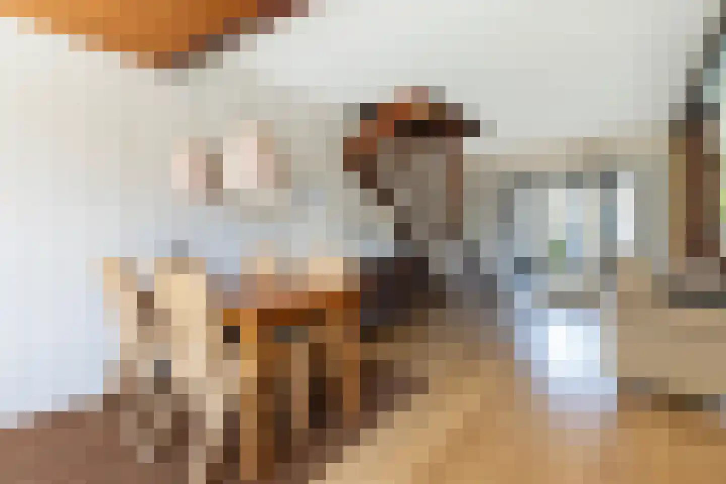 Jan de Wittstraat 14 Oentsjerk thumbnail 18