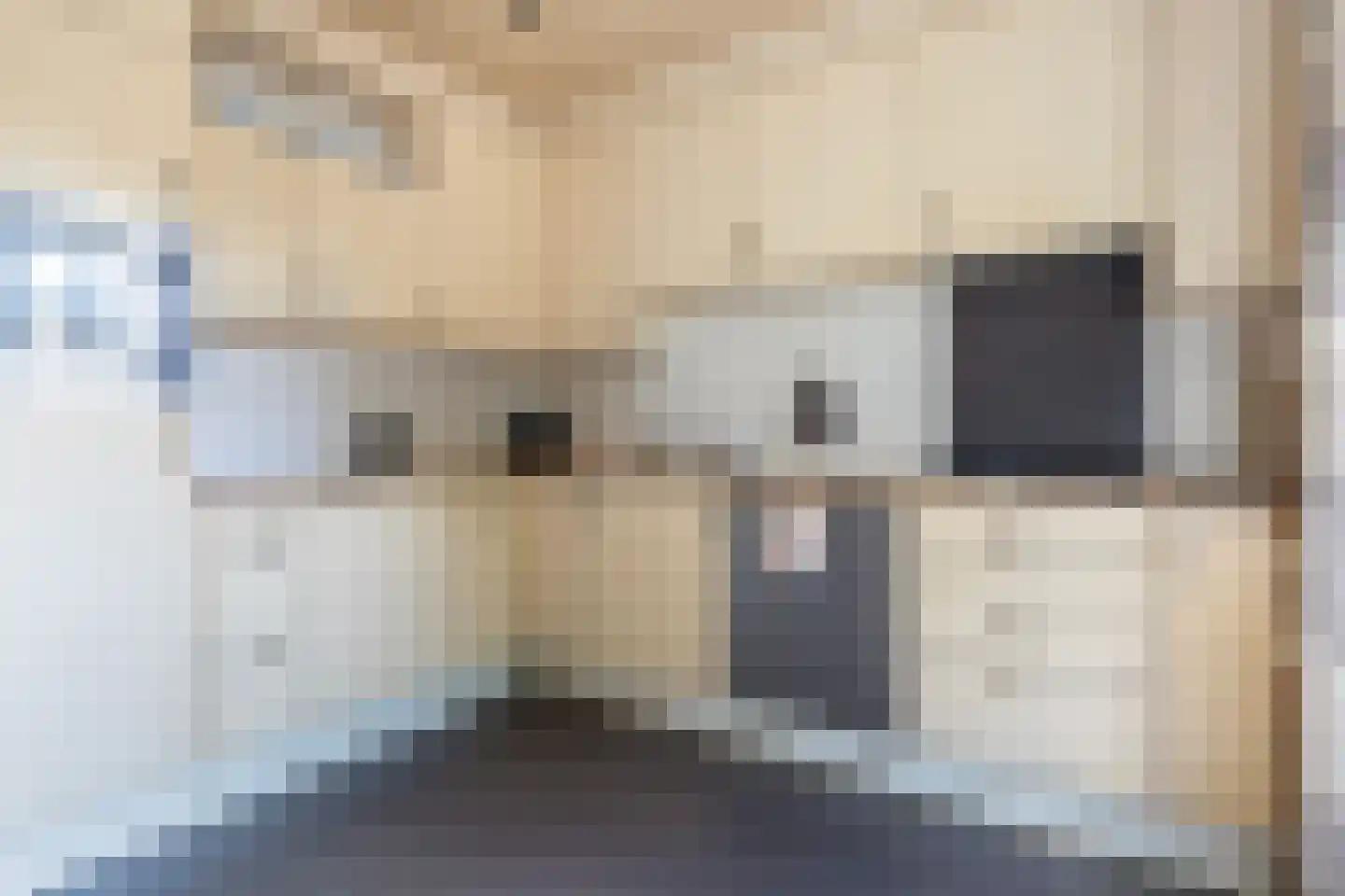Jan de Wittstraat 14 Oentsjerk thumbnail 20