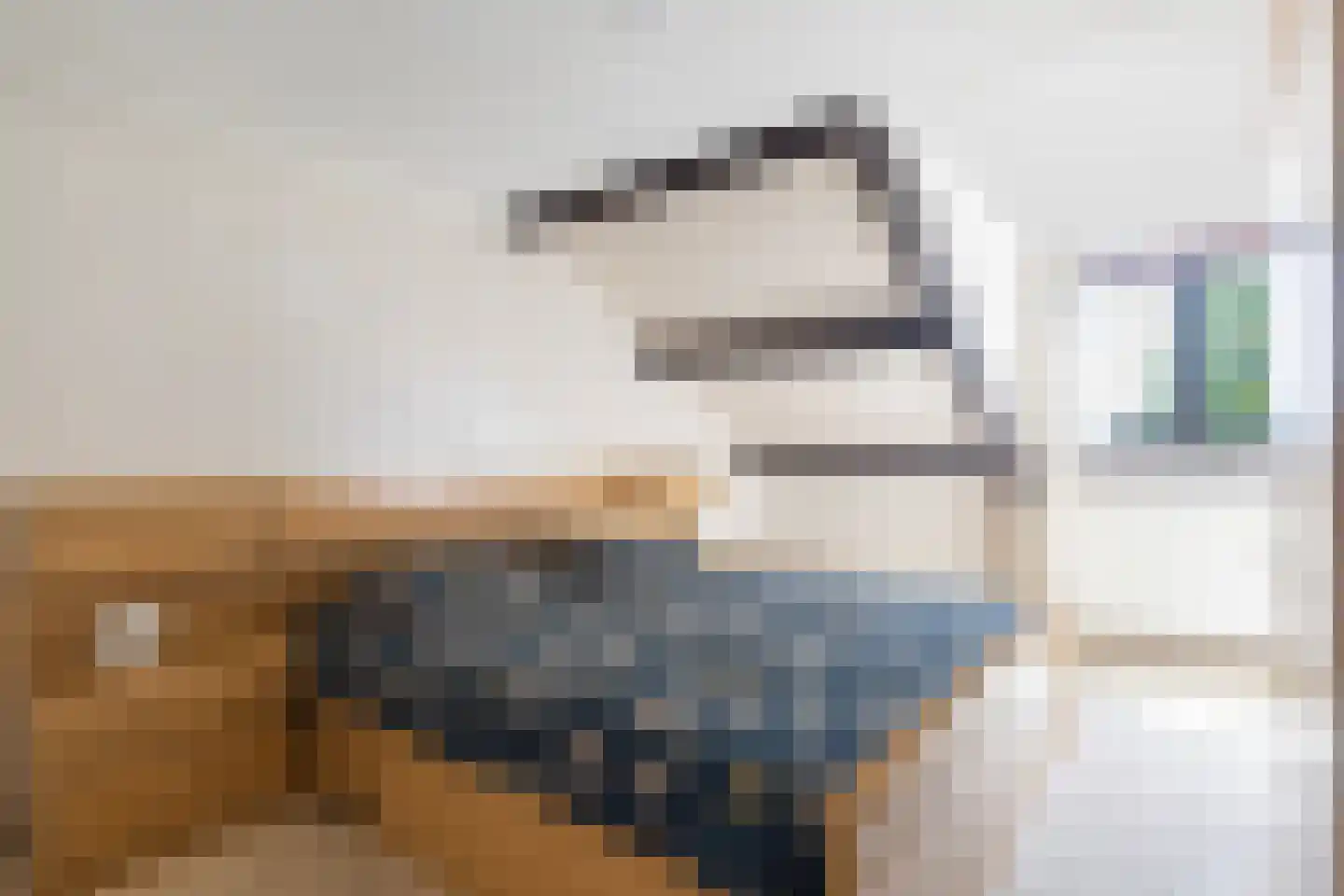 Jan de Wittstraat 14 Oentsjerk thumbnail 34
