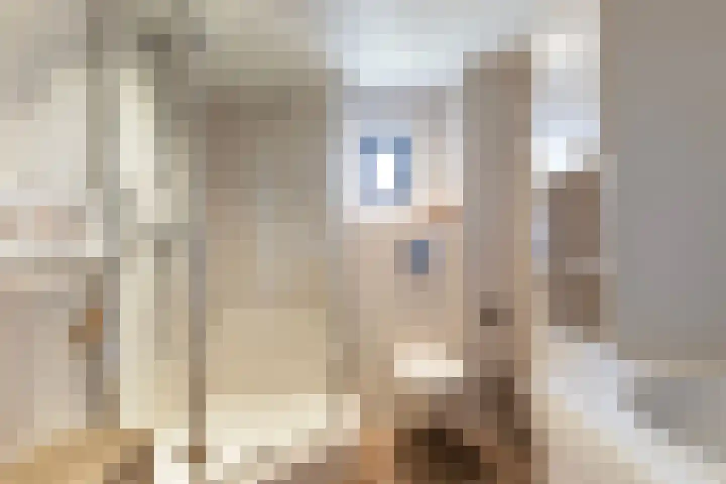 Jan de Wittstraat 14 Oentsjerk thumbnail 43