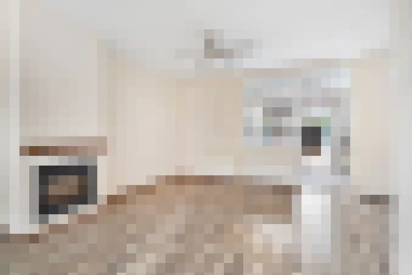 Jan de Wittstraat 15 Delft thumbnail 7
