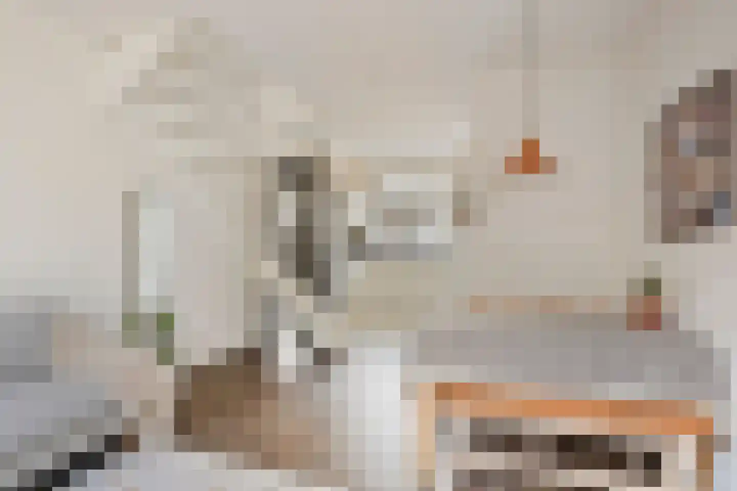 Jan de Wittstraat 22 Delft thumbnail 9
