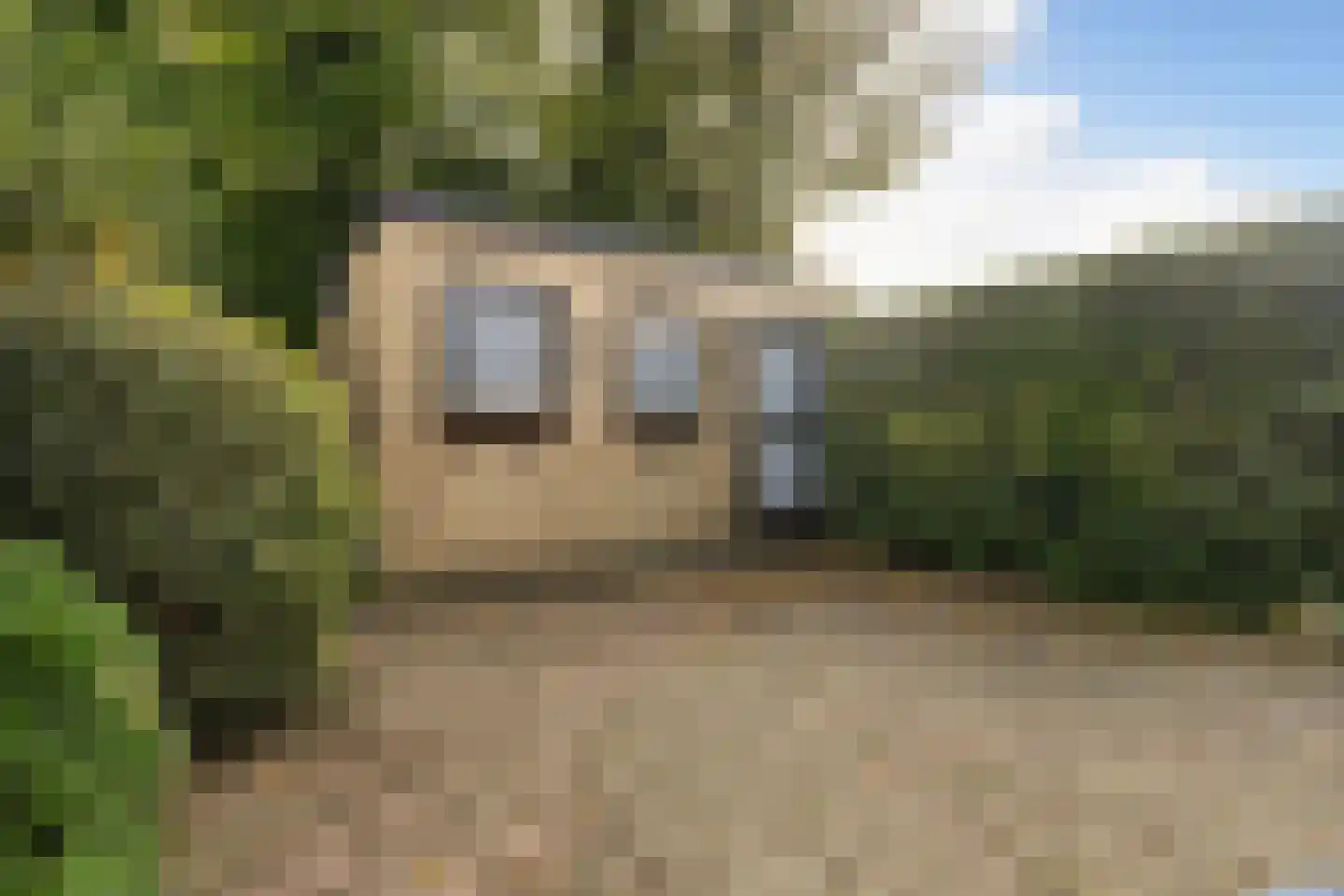 Jan de Wittstraat 24 Oentsjerk thumbnail 11