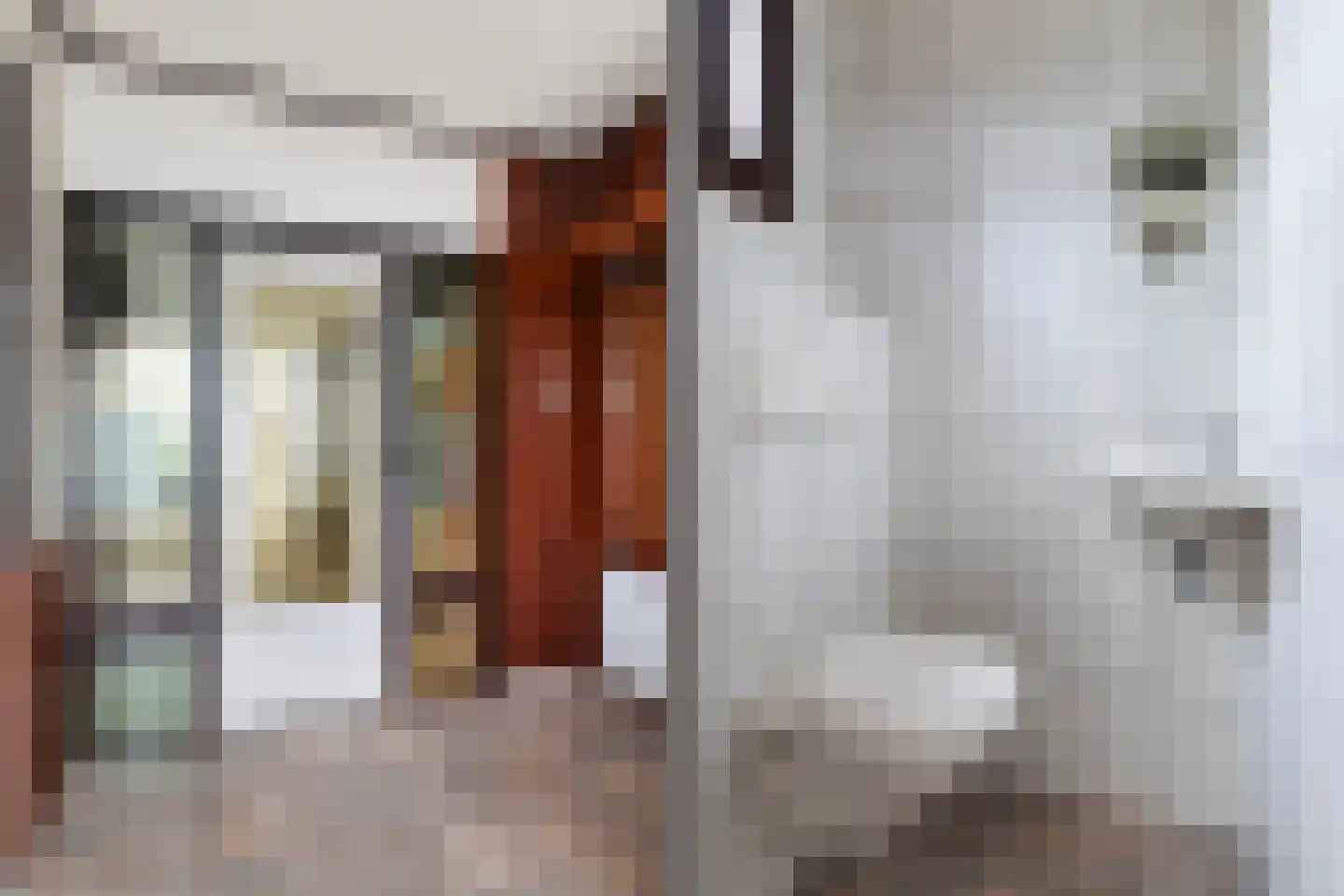 Jan de Wittstraat 24 Oentsjerk thumbnail 13