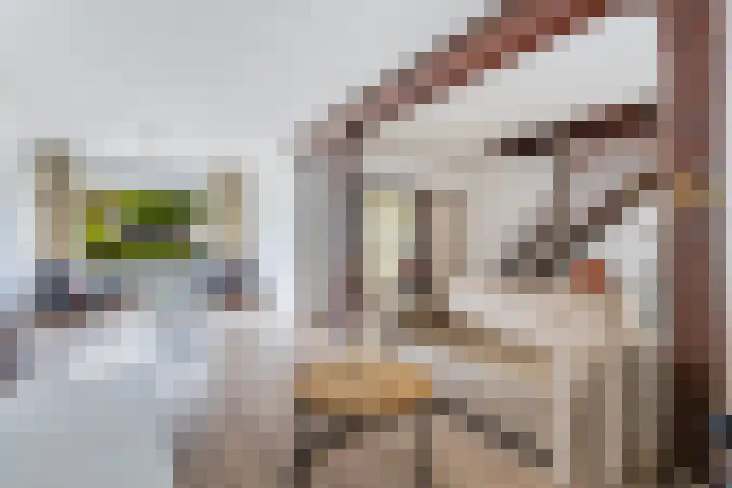 Jan de Wittstraat 24 Oentsjerk thumbnail 15