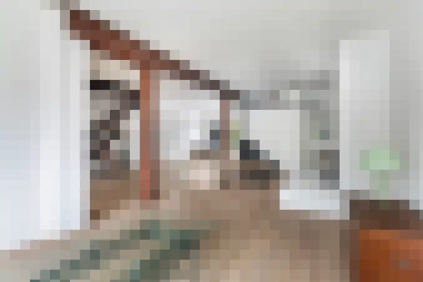 Jan de Wittstraat 24 Oentsjerk thumbnail 18