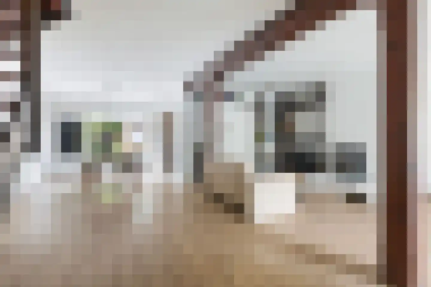 Jan de Wittstraat 24 Oentsjerk thumbnail 19