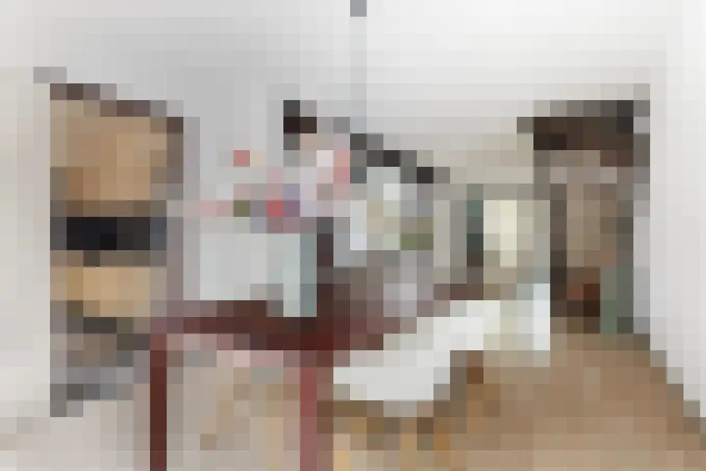 Jan de Wittstraat 24 Oentsjerk thumbnail 20