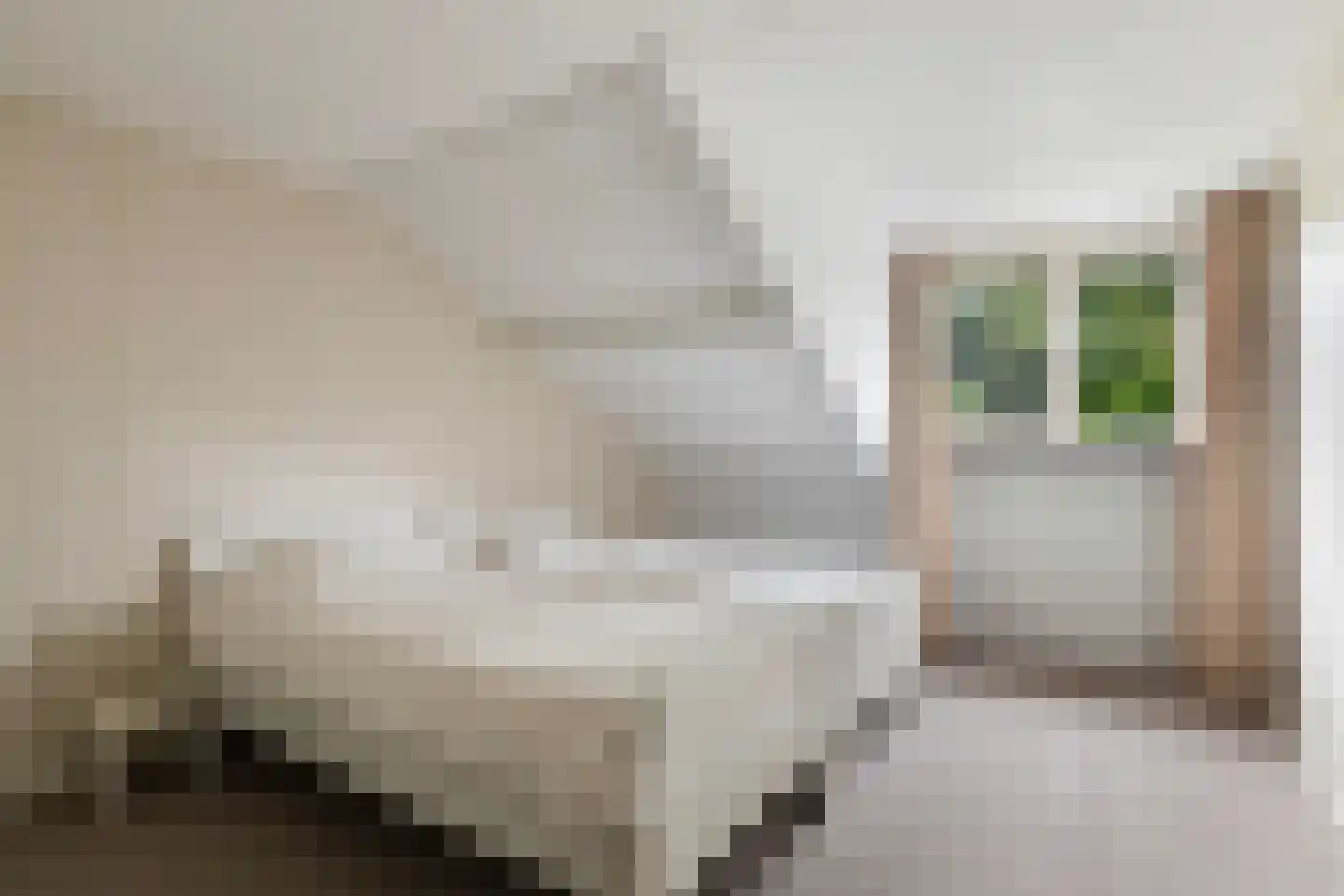 Jan de Wittstraat 24 Oentsjerk thumbnail 26
