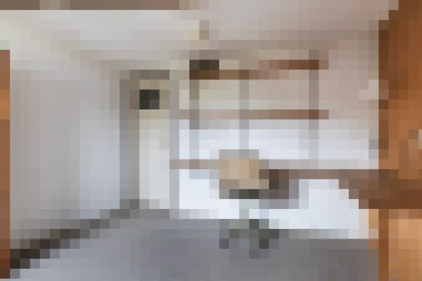 Jan de Wittstraat 24 Oentsjerk thumbnail 34