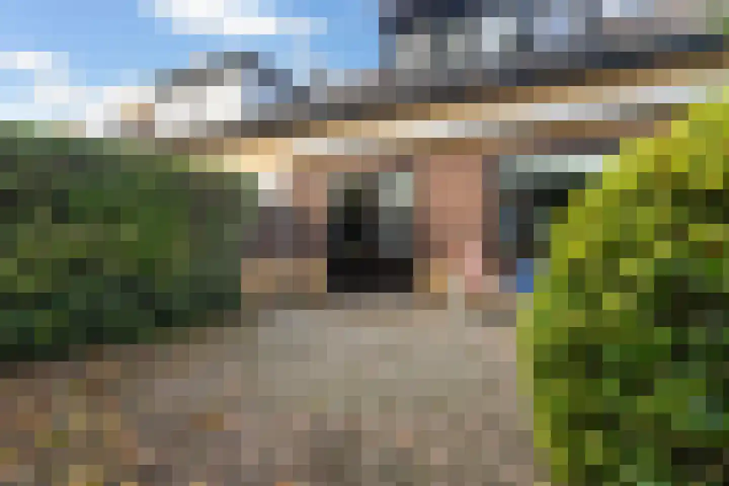 Jan de Wittstraat 24 Oentsjerk thumbnail 8
