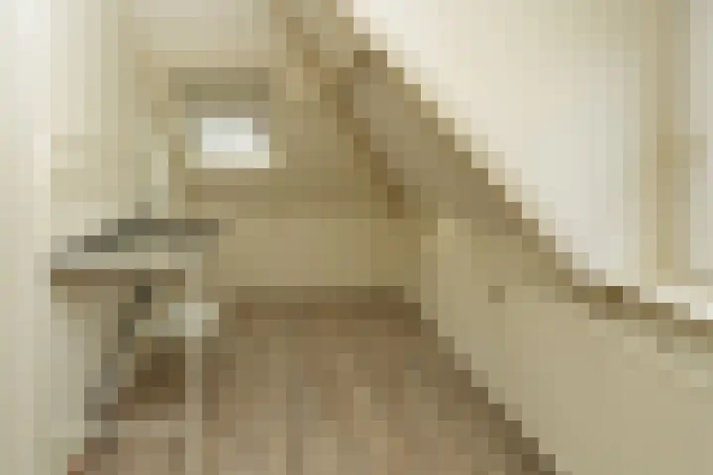 Jan de Wittstraat 4 Nijmegen thumbnail 21