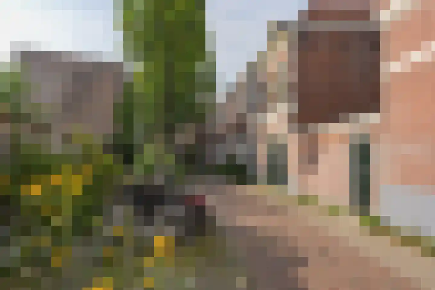 Jan de Wittstraat 4 Nijmegen thumbnail 29