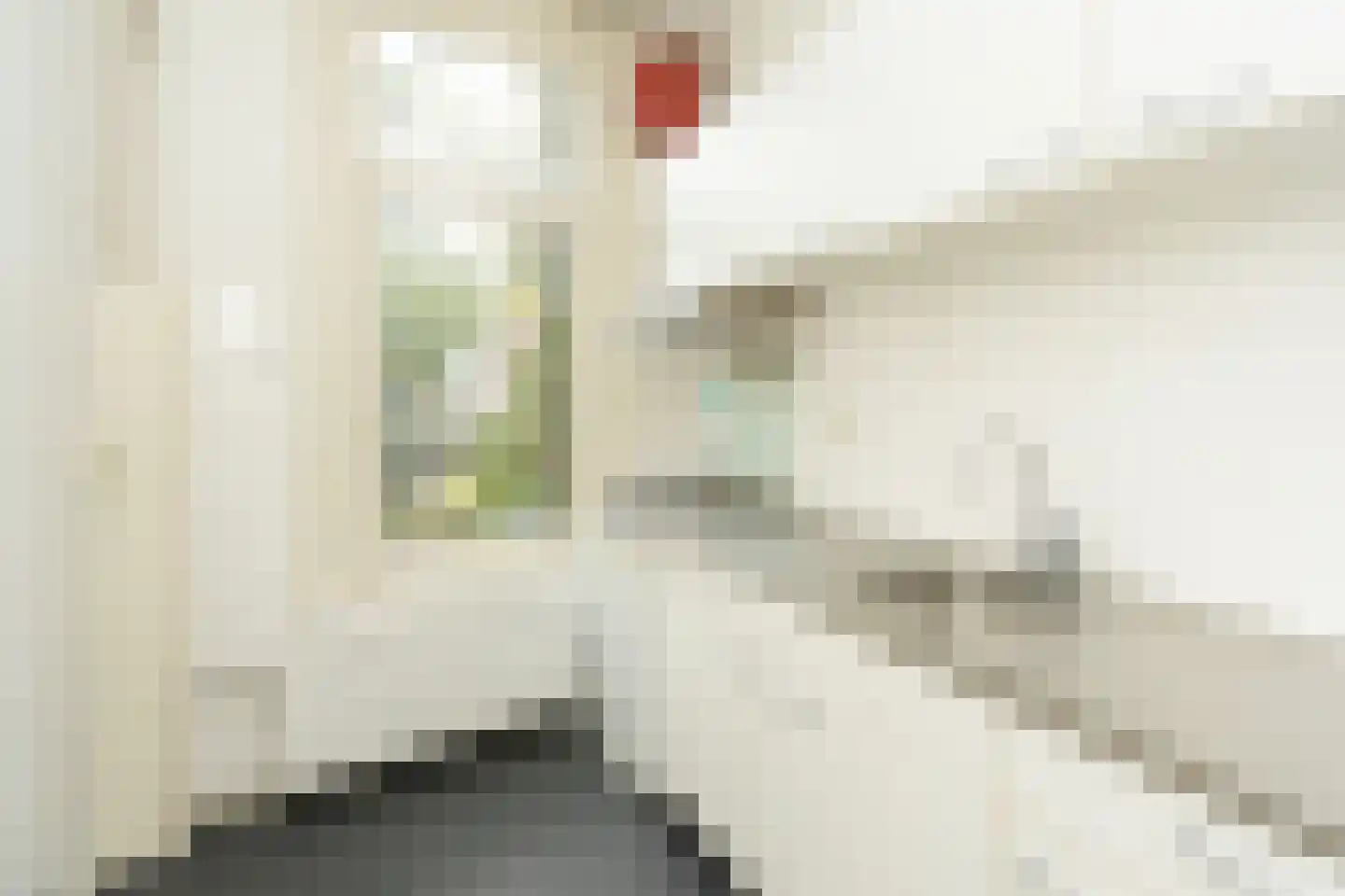 Jan de Wittstraat 4 Nijmegen thumbnail 4