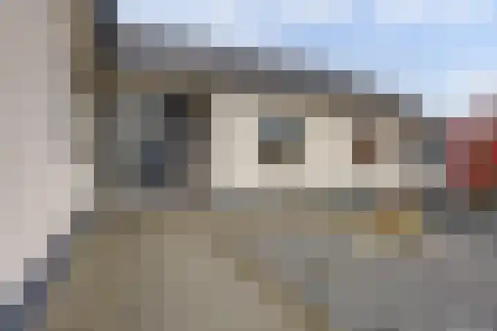 Jan de Wittstraat 4 Vriezenveen thumbnail 10