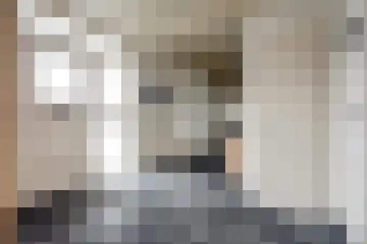 Jan de Wittstraat 4 Vriezenveen thumbnail 11